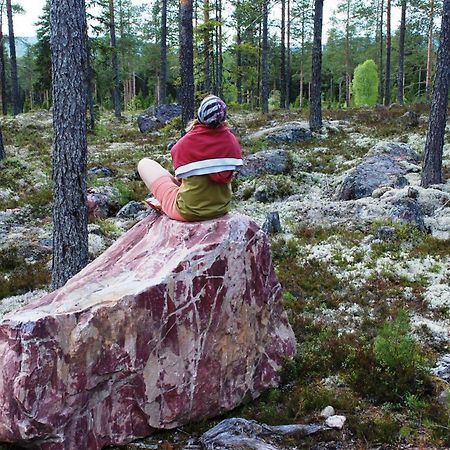 14 - Fulufjellets Nasjonalparker - Natur-, Dyre- Og Fugleopplevelser Trysil Kültér fotó