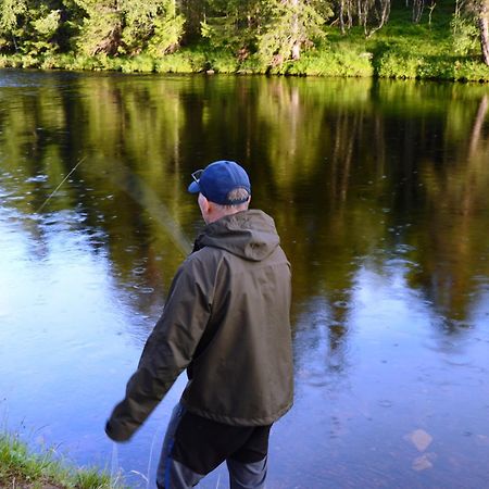14 - Fulufjellets Nasjonalparker - Natur-, Dyre- Og Fugleopplevelser Trysil Kültér fotó