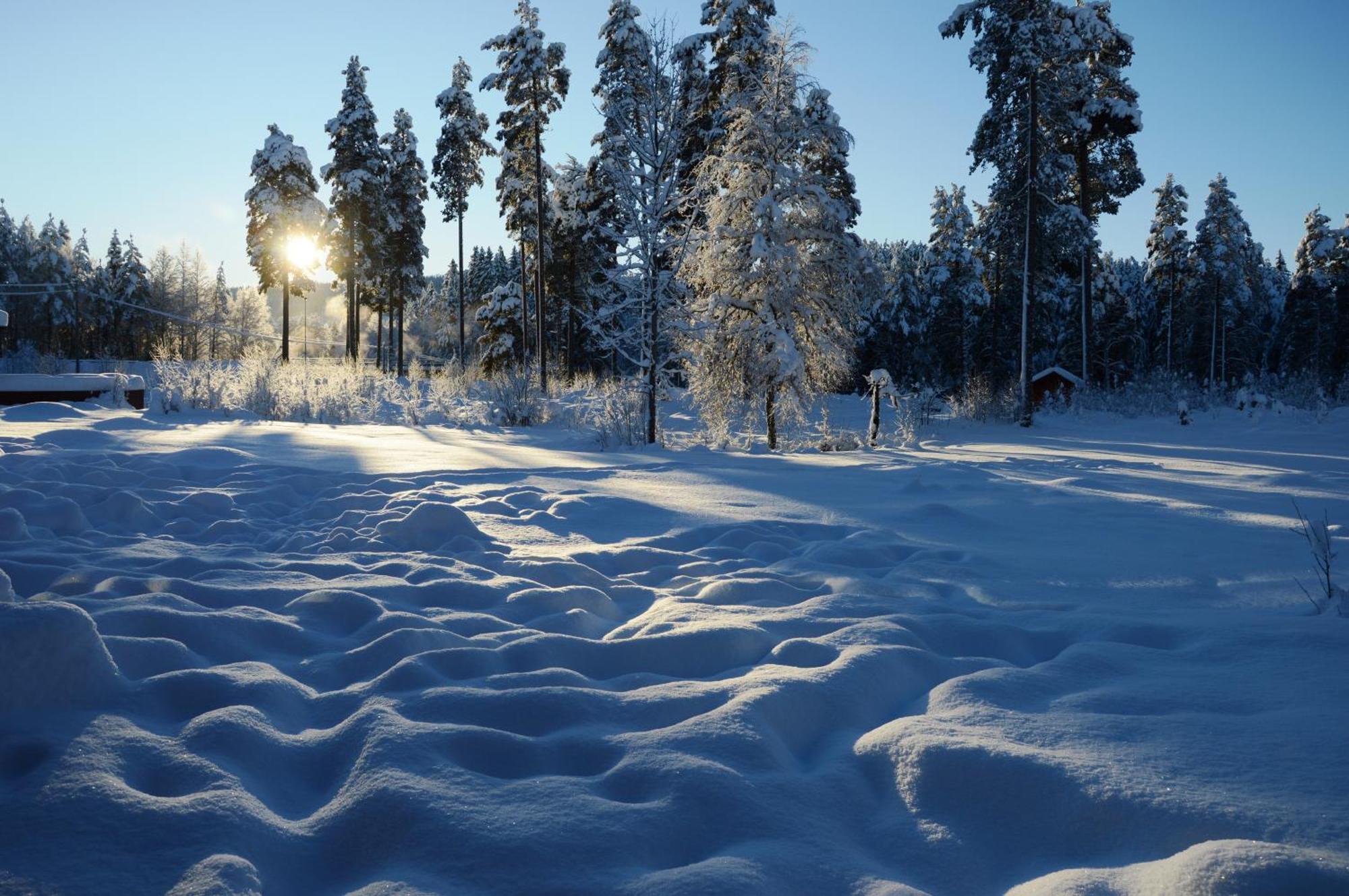 14 - Fulufjellets Nasjonalparker - Natur-, Dyre- Og Fugleopplevelser Trysil Kültér fotó