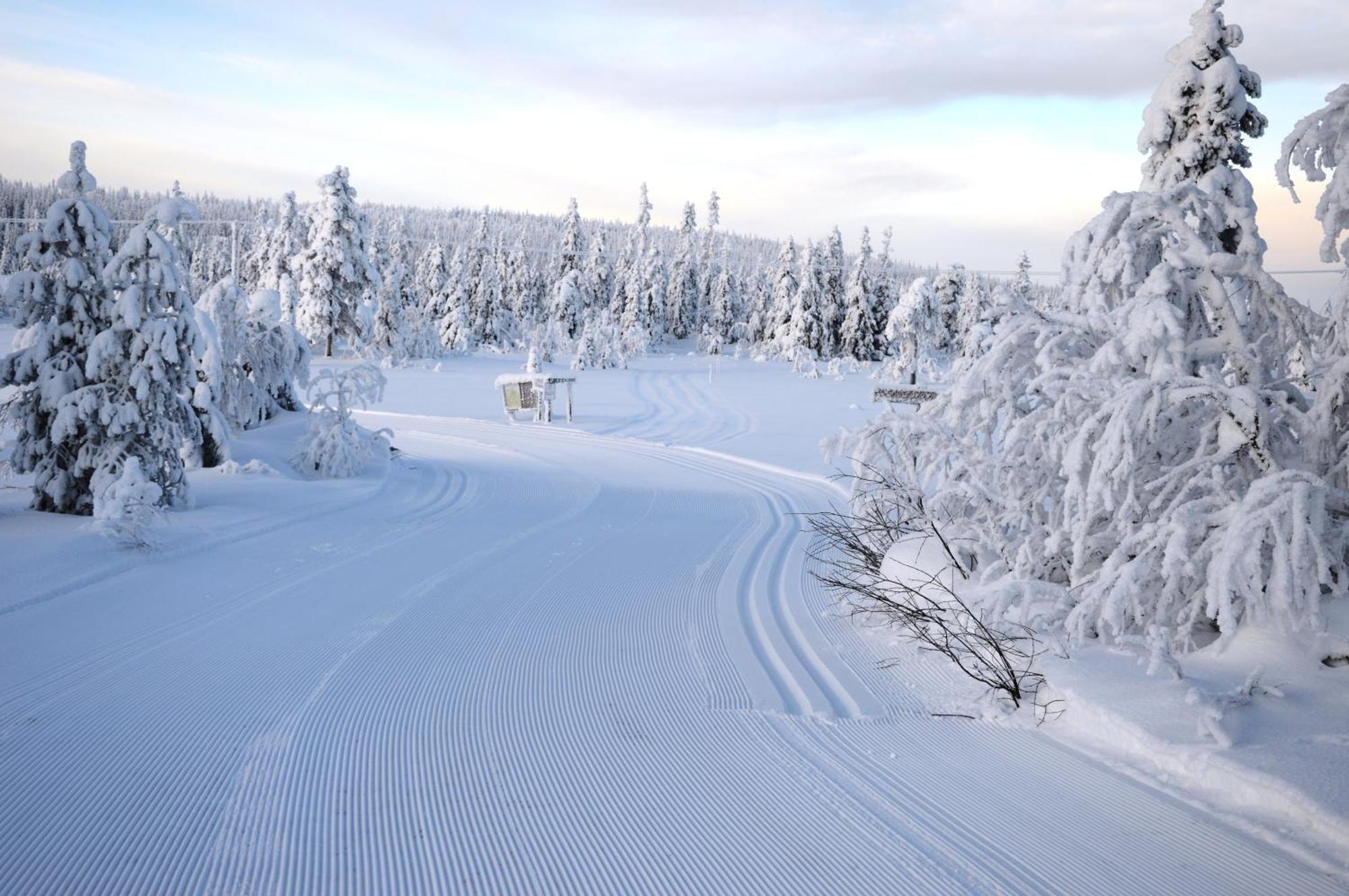 14 - Fulufjellets Nasjonalparker - Natur-, Dyre- Og Fugleopplevelser Trysil Kültér fotó