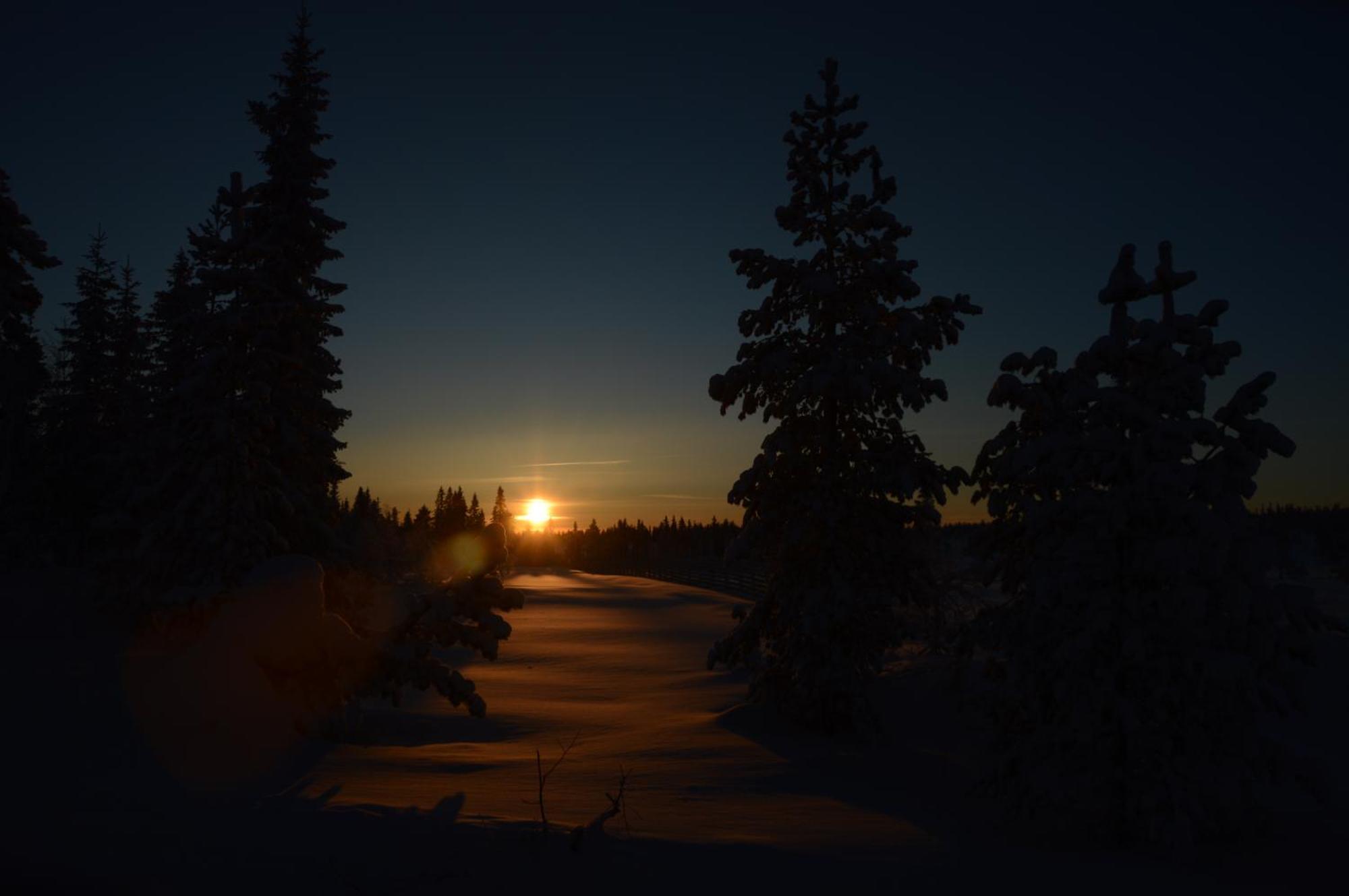 14 - Fulufjellets Nasjonalparker - Natur-, Dyre- Og Fugleopplevelser Trysil Kültér fotó