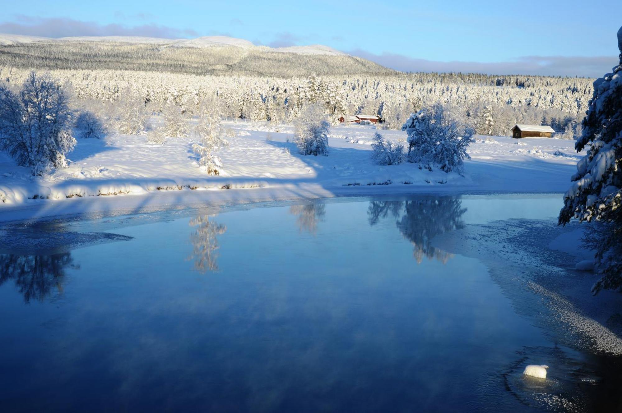 14 - Fulufjellets Nasjonalparker - Natur-, Dyre- Og Fugleopplevelser Trysil Kültér fotó