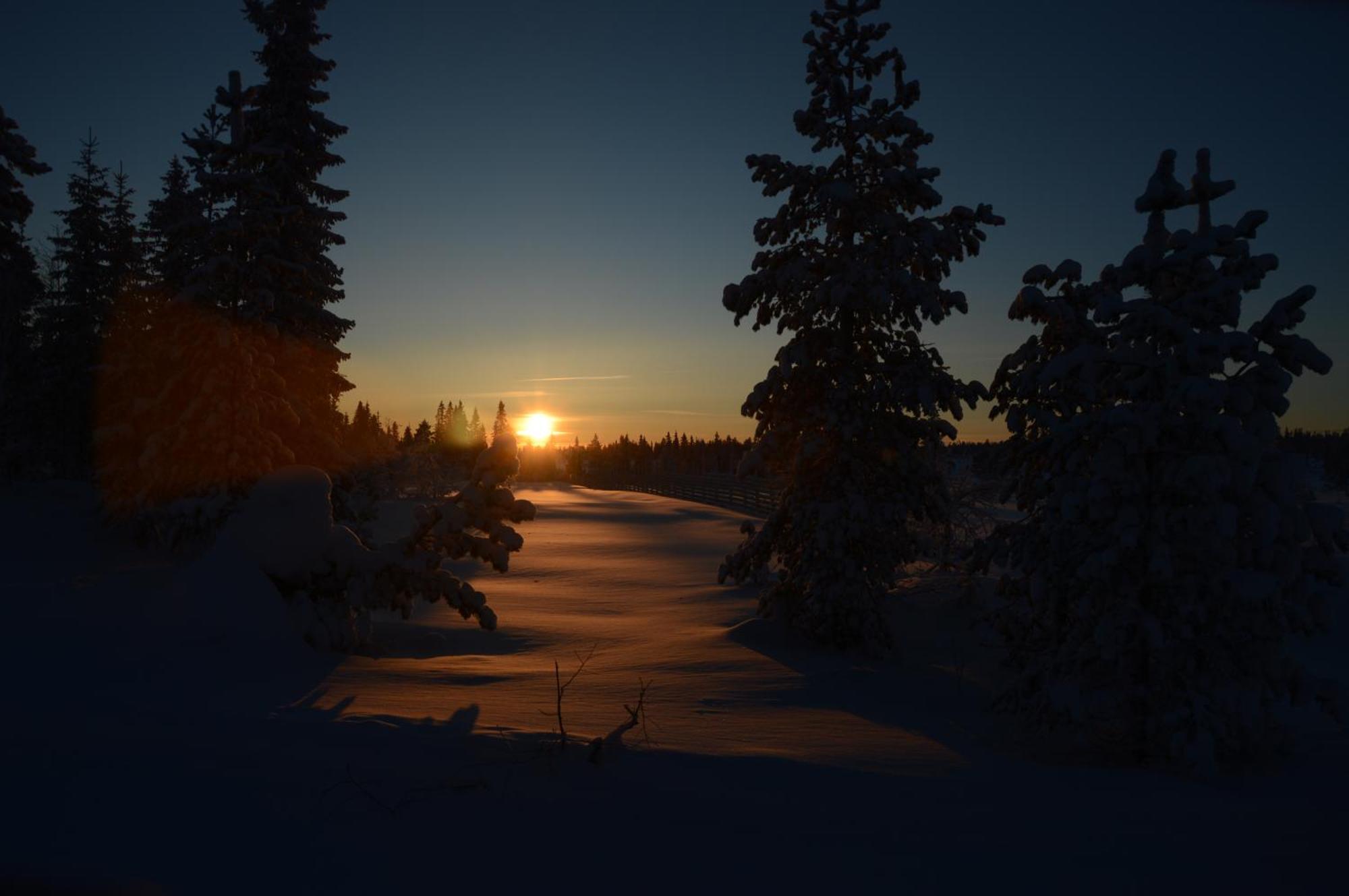 14 - Fulufjellets Nasjonalparker - Natur-, Dyre- Og Fugleopplevelser Trysil Kültér fotó