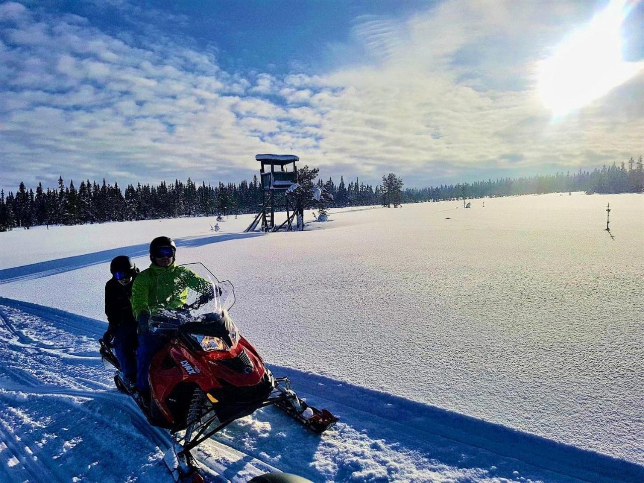 14 - Fulufjellets Nasjonalparker - Natur-, Dyre- Og Fugleopplevelser Trysil Kültér fotó