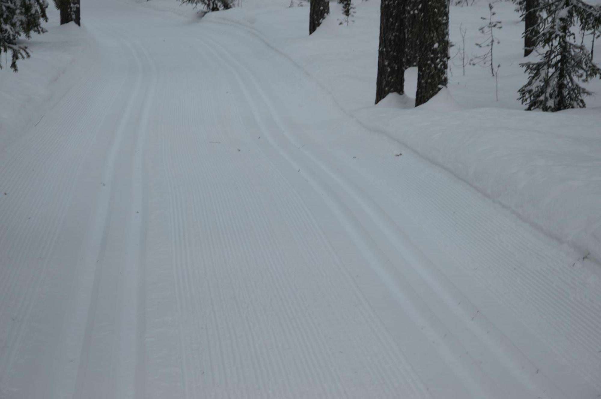 14 - Fulufjellets Nasjonalparker - Natur-, Dyre- Og Fugleopplevelser Trysil Kültér fotó