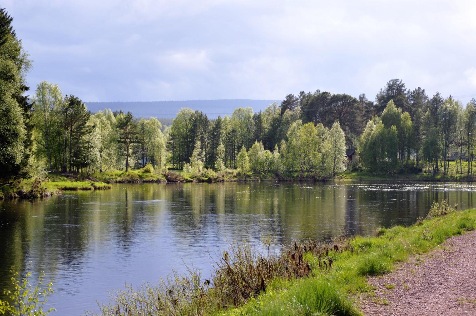 14 - Fulufjellets Nasjonalparker - Natur-, Dyre- Og Fugleopplevelser Trysil Kültér fotó