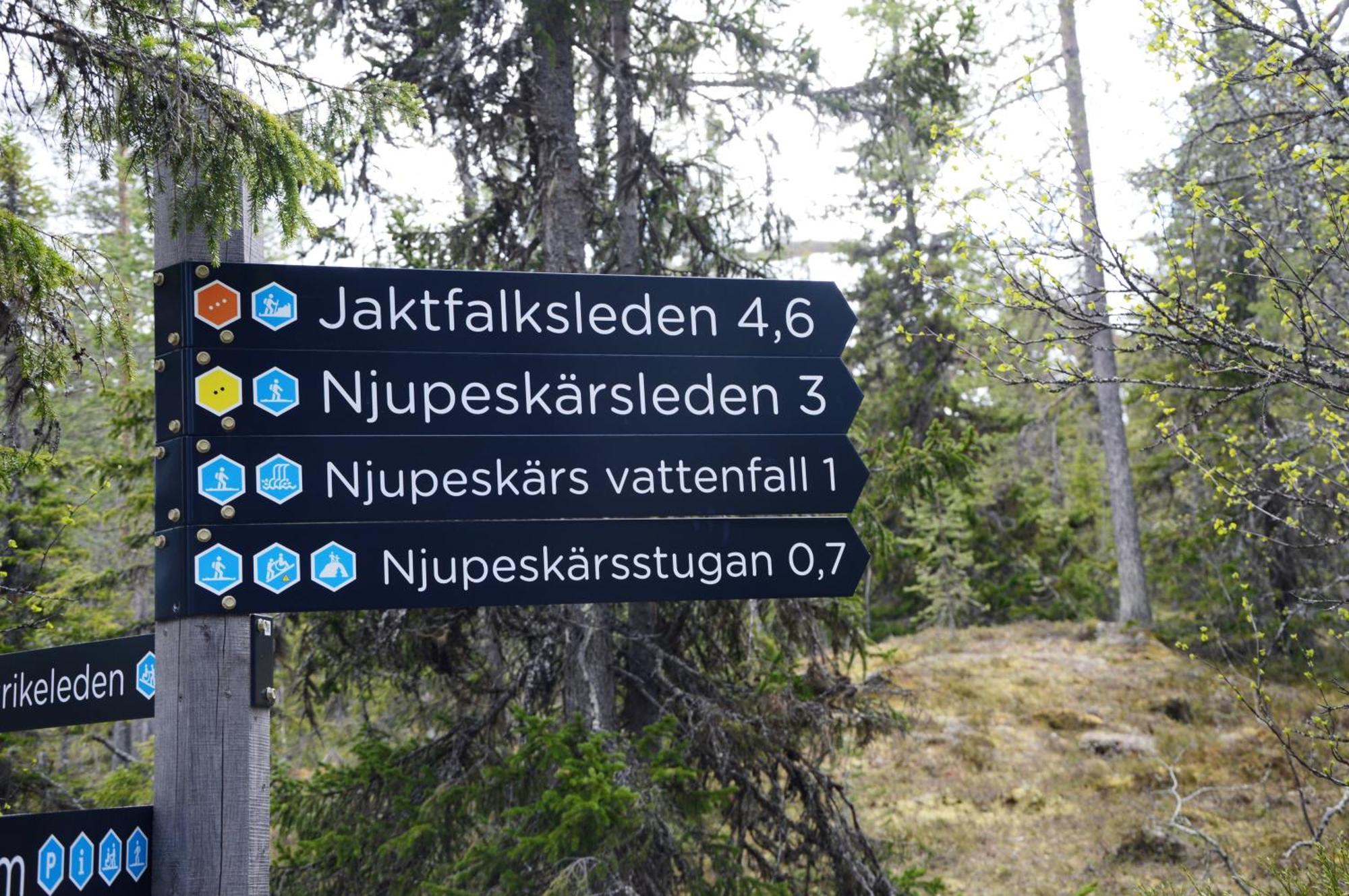 14 - Fulufjellets Nasjonalparker - Natur-, Dyre- Og Fugleopplevelser Trysil Kültér fotó
