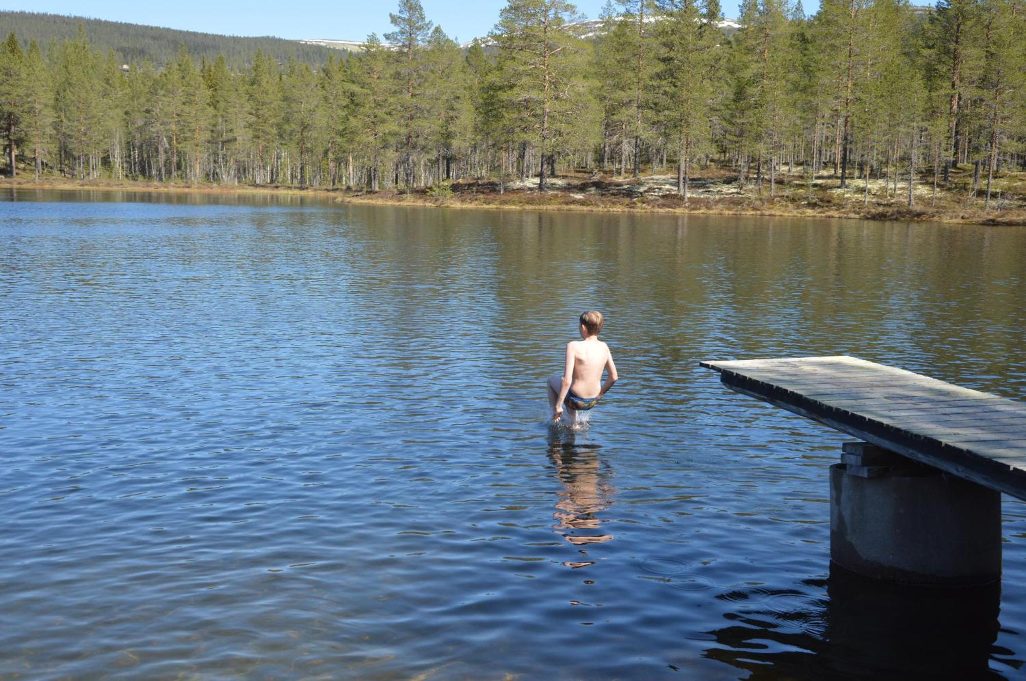 14 - Fulufjellets Nasjonalparker - Natur-, Dyre- Og Fugleopplevelser Trysil Kültér fotó