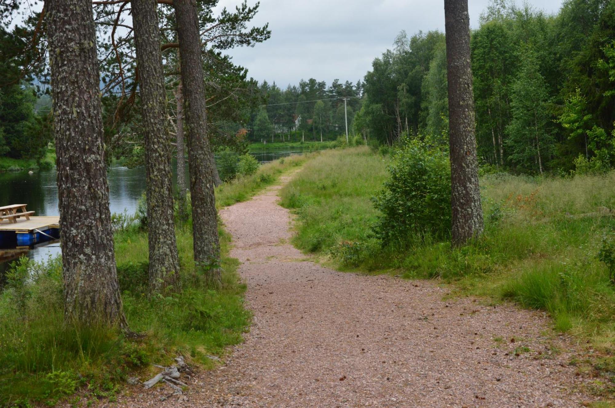 14 - Fulufjellets Nasjonalparker - Natur-, Dyre- Og Fugleopplevelser Trysil Kültér fotó