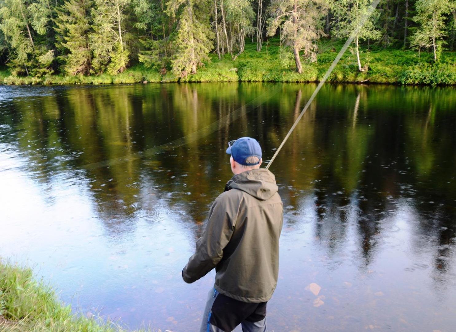 14 - Fulufjellets Nasjonalparker - Natur-, Dyre- Og Fugleopplevelser Trysil Kültér fotó