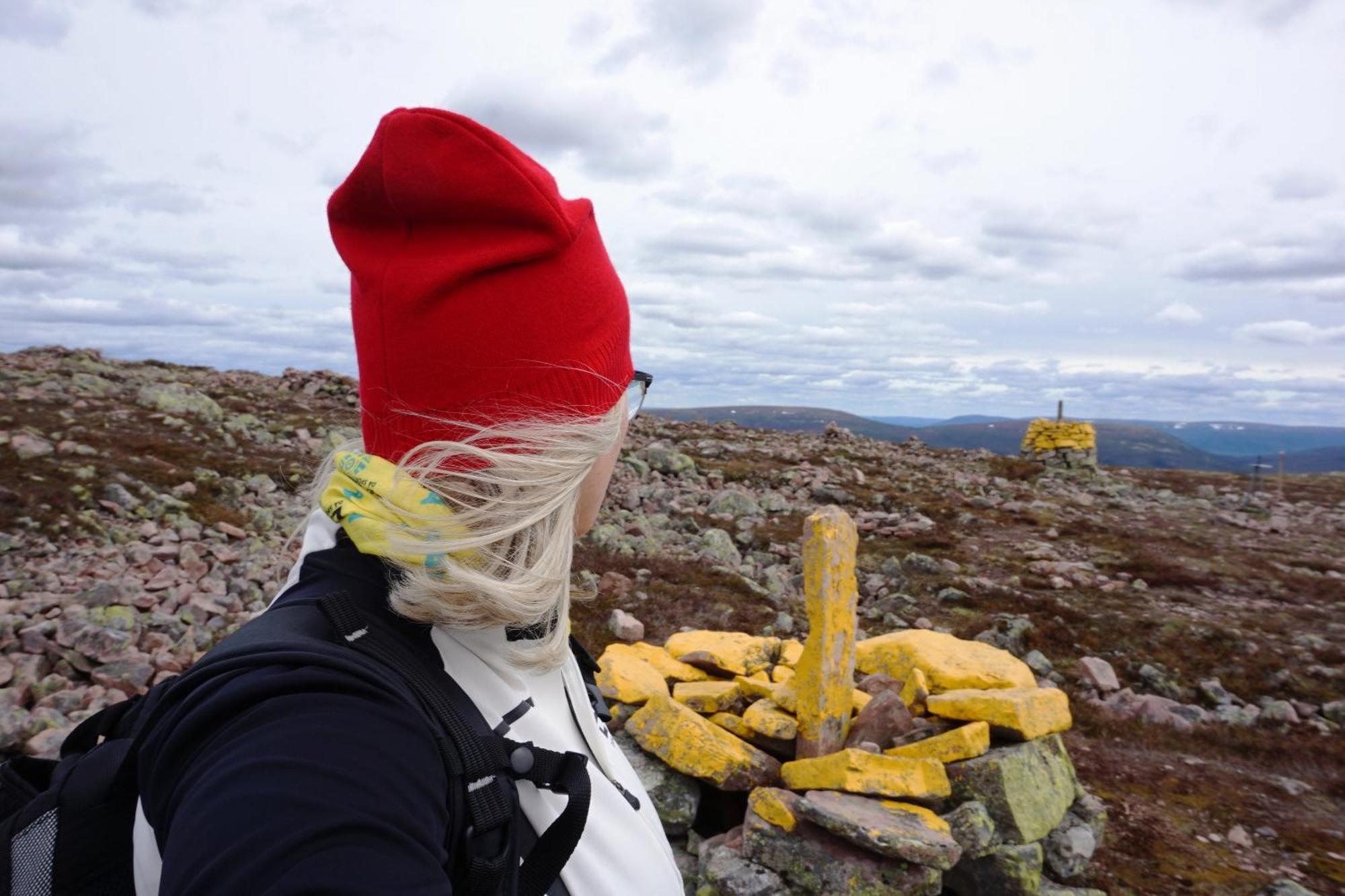 14 - Fulufjellets Nasjonalparker - Natur-, Dyre- Og Fugleopplevelser Trysil Kültér fotó