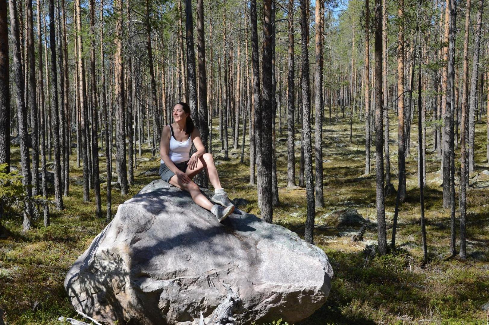 14 - Fulufjellets Nasjonalparker - Natur-, Dyre- Og Fugleopplevelser Trysil Kültér fotó