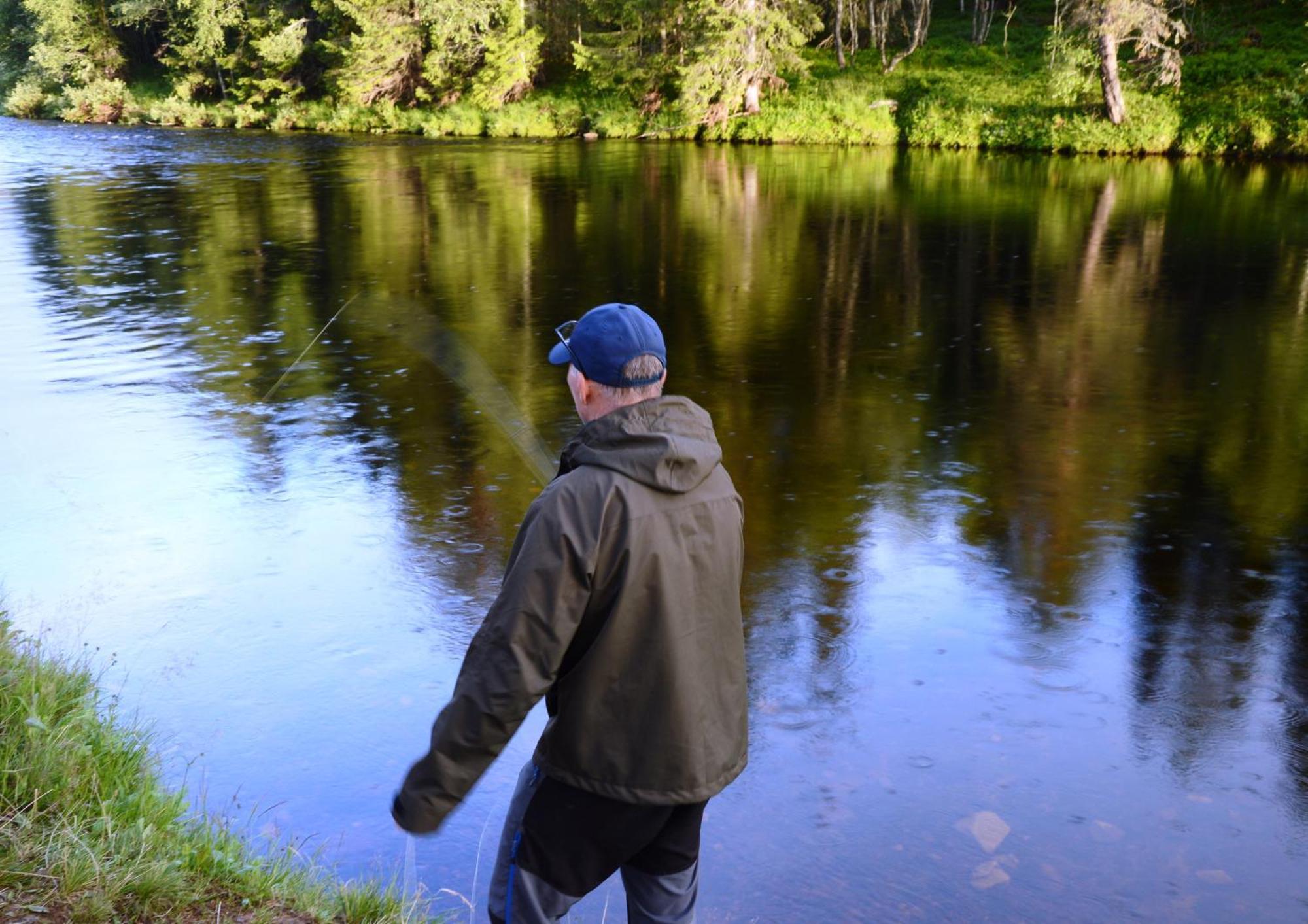 14 - Fulufjellets Nasjonalparker - Natur-, Dyre- Og Fugleopplevelser Trysil Kültér fotó