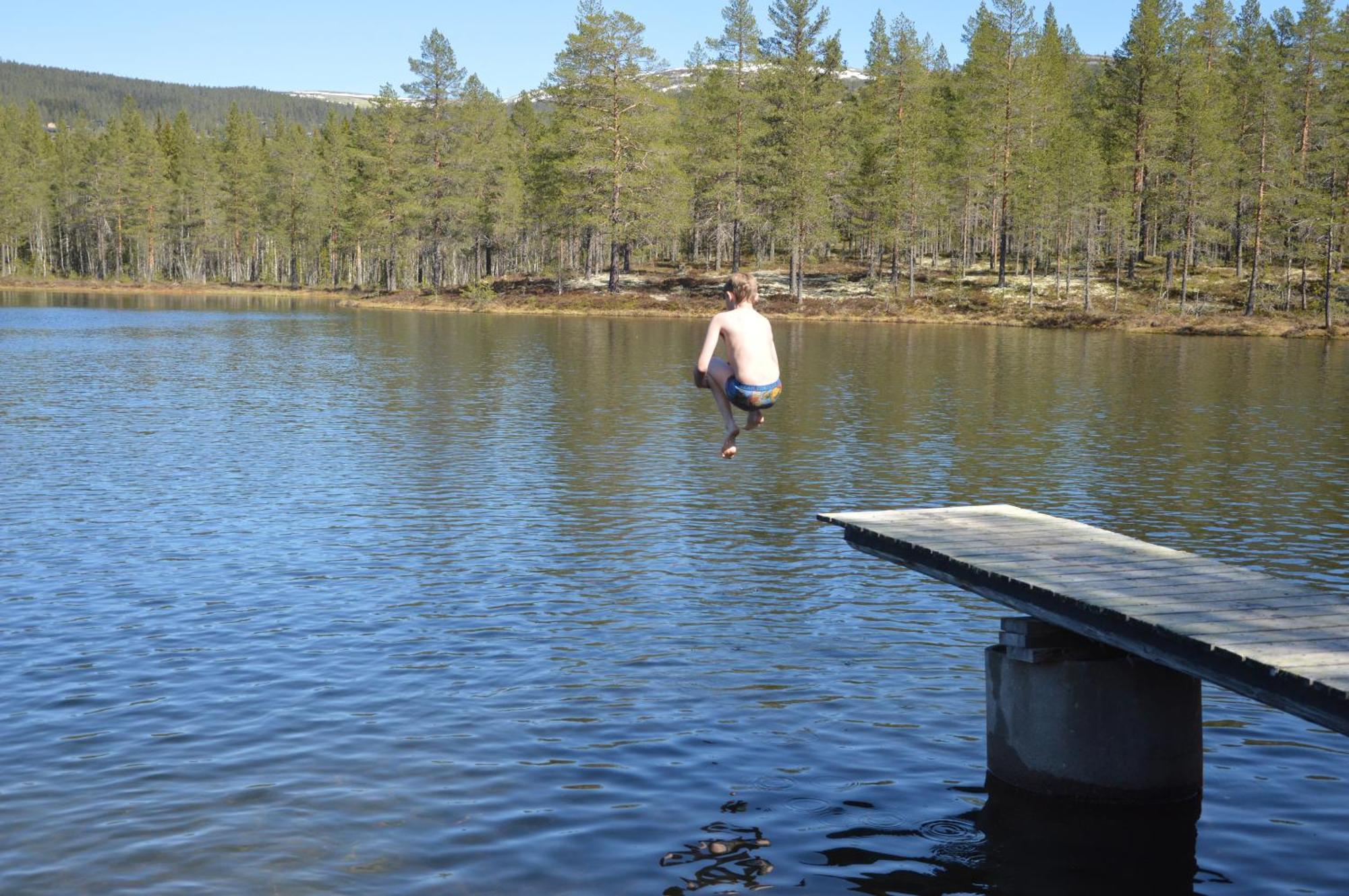 14 - Fulufjellets Nasjonalparker - Natur-, Dyre- Og Fugleopplevelser Trysil Kültér fotó