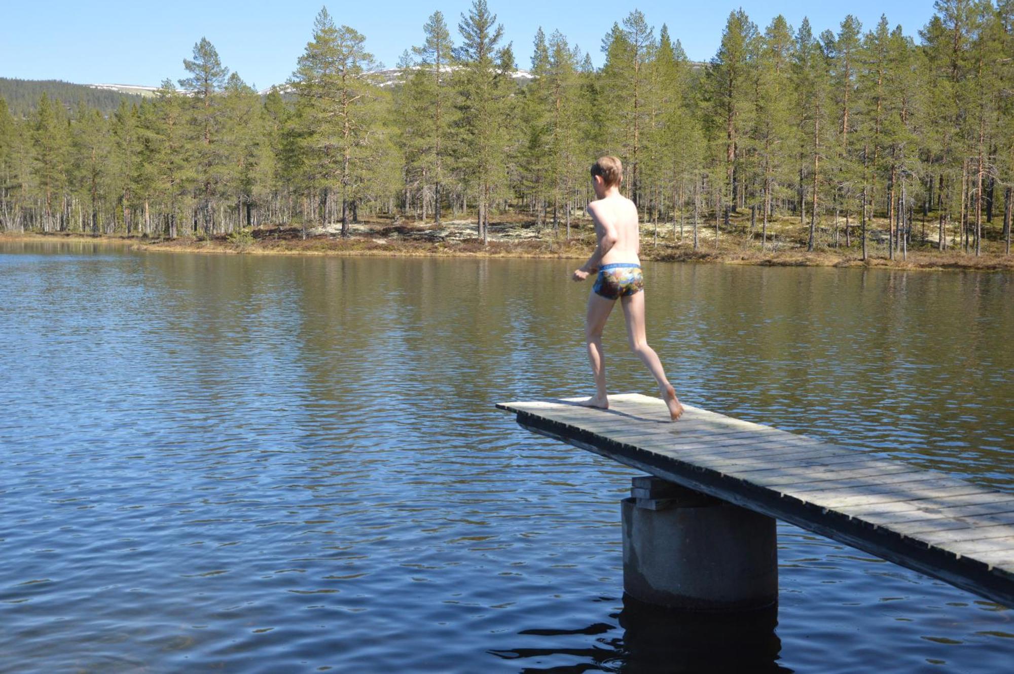 14 - Fulufjellets Nasjonalparker - Natur-, Dyre- Og Fugleopplevelser Trysil Kültér fotó