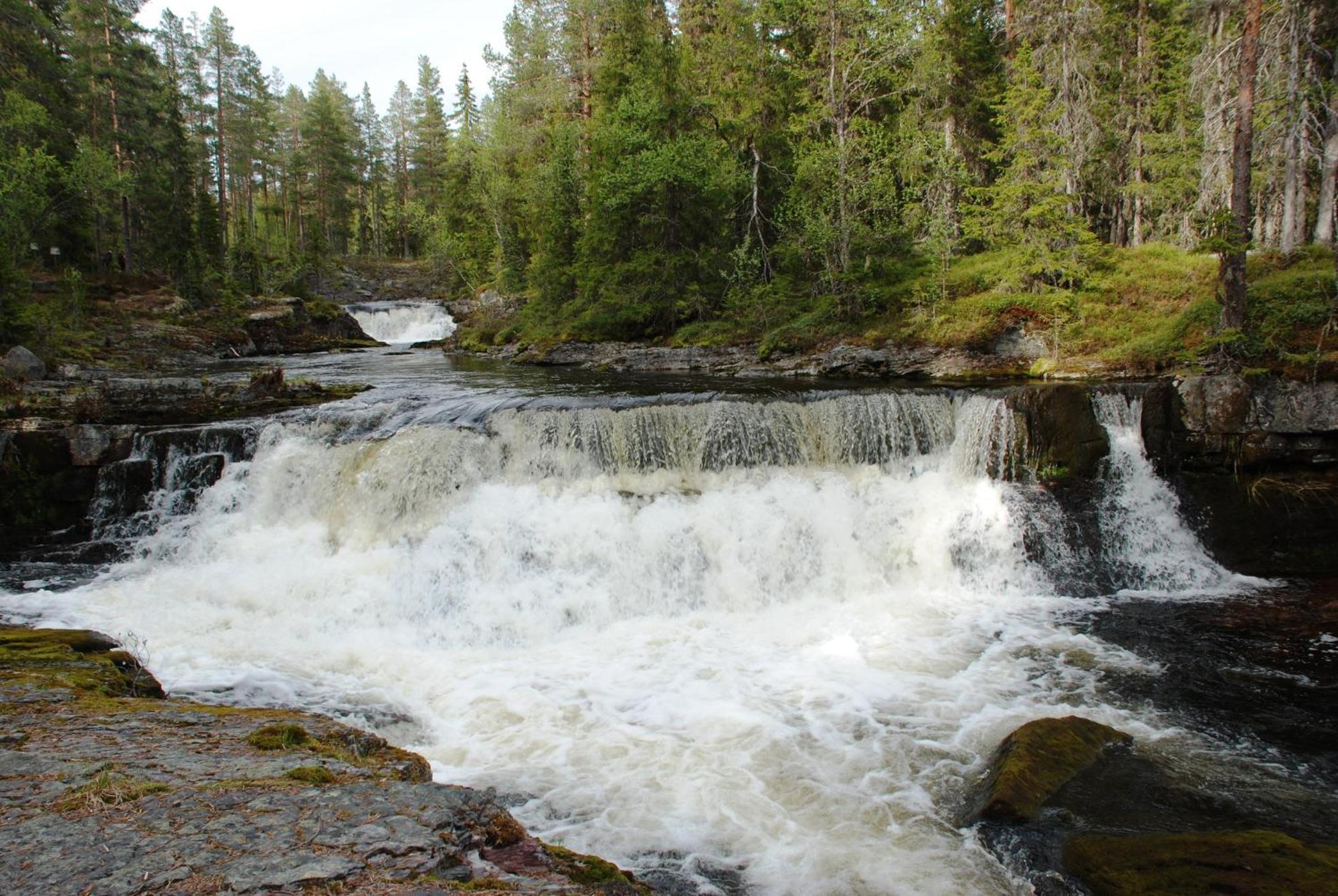 14 - Fulufjellets Nasjonalparker - Natur-, Dyre- Og Fugleopplevelser Trysil Kültér fotó